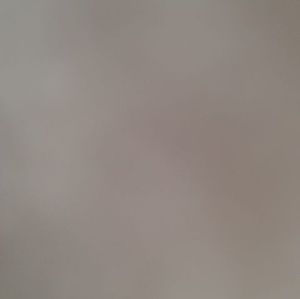 Meet your Posher, Debi